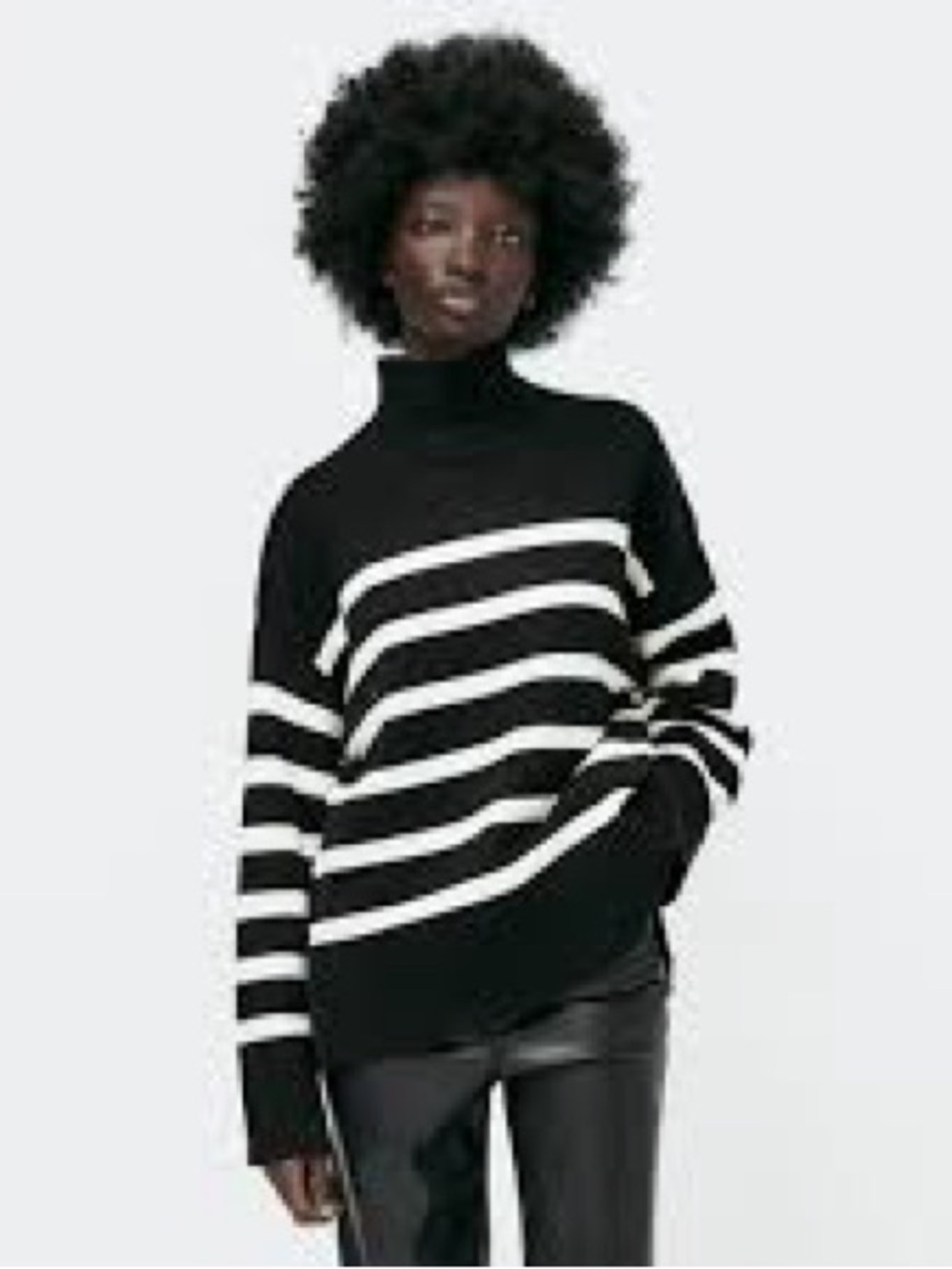 Zara Striped Turtleneck sweater